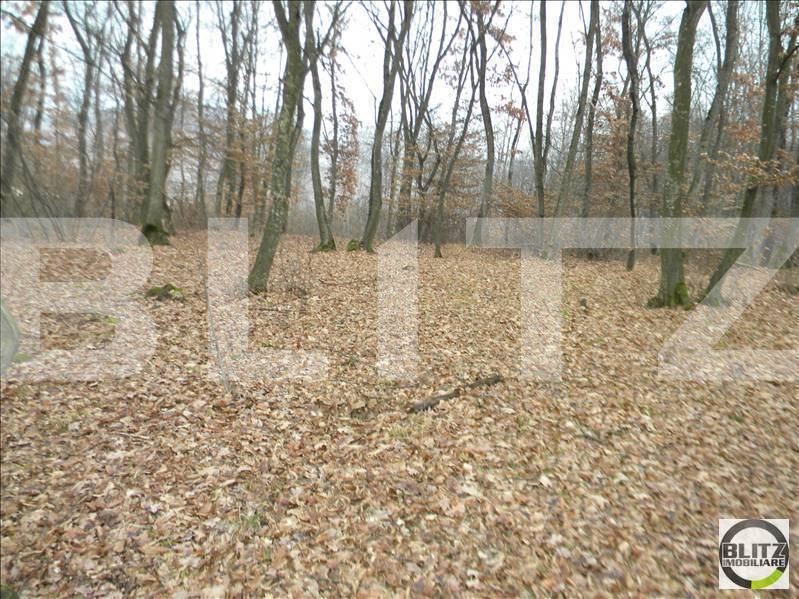 Teren de vânzare Floreşti - 22936TV | BLITZ Cluj-Napoca | Poza5