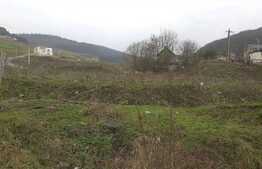 Vanzare teren cu 2500 mp in zona Tautiului, front la 2 strazi, cu utilitati!