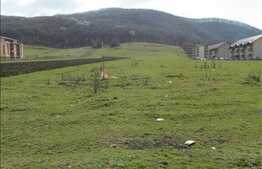 De vanzare teren in zona Sub Cetate cu 4297 mp si front de 19.21 ml