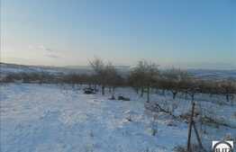 Teren de vanzare 750 mp, front 40 ml! Locatie ideala pentru 1 duplex sau 2 case