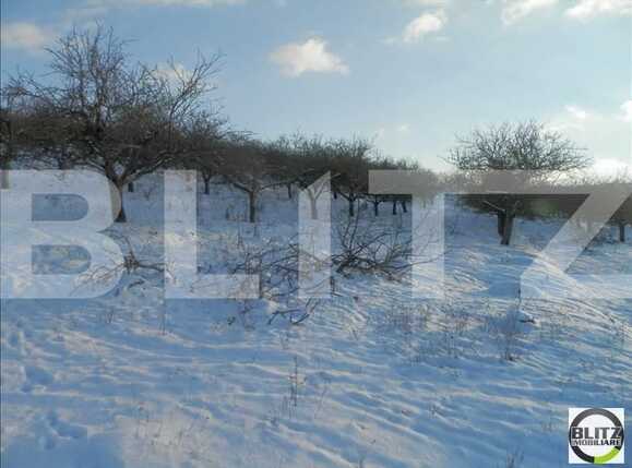 Teren de vânzare Borhanci - 22940TV | BLITZ Cluj-Napoca | Poza1