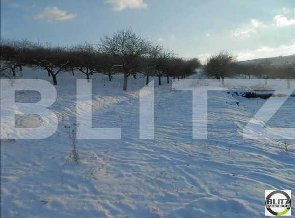 Teren de vânzare Borhanci - 22941TV | BLITZ Cluj-Napoca | Poza2