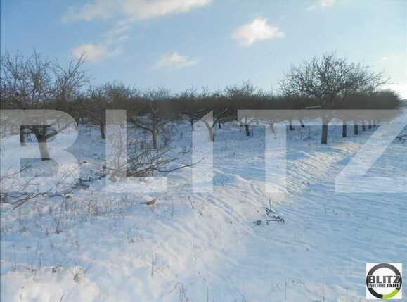 Teren de vânzare Borhanci - 22941TV | BLITZ Cluj-Napoca | Poza7