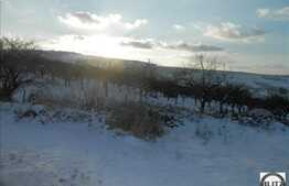 Teren 750 mp, front 20 ml la sosea, zona Borhanci, locatie linistita!