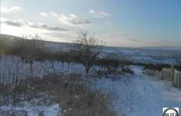 Teren 750 mp, front 20 ml la sosea, zona Borhanci, locatie linistita!