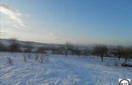 Teren 750 mp, front 20 ml la sosea, zona Borhanci, locatie linistita!