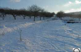 Teren 750 mp, front 20 ml la sosea, zona Borhanci, locatie linistita!