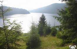 Liniste, natura si relaxare! Teren in zona Belis, 3100 mp, acces direct la lac!