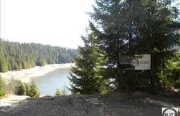 Liniste, natura si relaxare! Teren in zona Belis, 3100 mp, acces direct la lac!