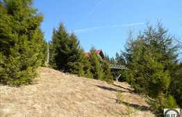 Liniste, natura si relaxare! Teren in zona Belis, 3100 mp, acces direct la lac!