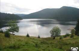 Liniste, natura si relaxare! Teren in zona Belis, 3100 mp, acces direct la lac!