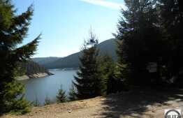 Liniste, natura si relaxare! Teren in zona Belis, 3100 mp, acces direct la lac!