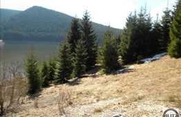 Liniste, natura si relaxare! Teren in zona Belis, 3100 mp, acces direct la lac!