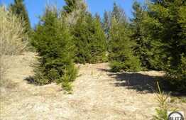 Liniste, natura si relaxare! Teren in zona Belis, 3100 mp, acces direct la lac!