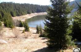 Liniste, natura si relaxare! Teren in zona Belis, 3100 mp, acces direct la lac!