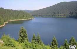 Liniste, natura si relaxare! Teren in zona Belis, 3100 mp, acces direct la lac!