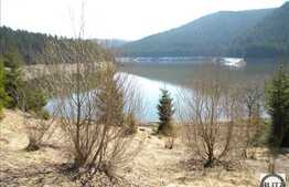 Liniste, natura si relaxare! Teren in zona Belis, 3100 mp, acces direct la lac!