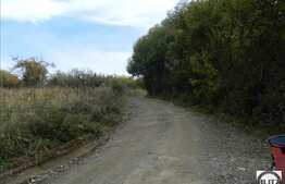 Teren de vanzare, in Faget, 1200 mp cu un front de 25 ml