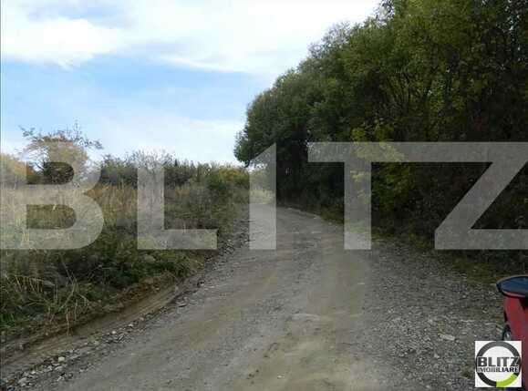 Teren de vânzare Făget - 22944TV | BLITZ Cluj-Napoca | Poza9