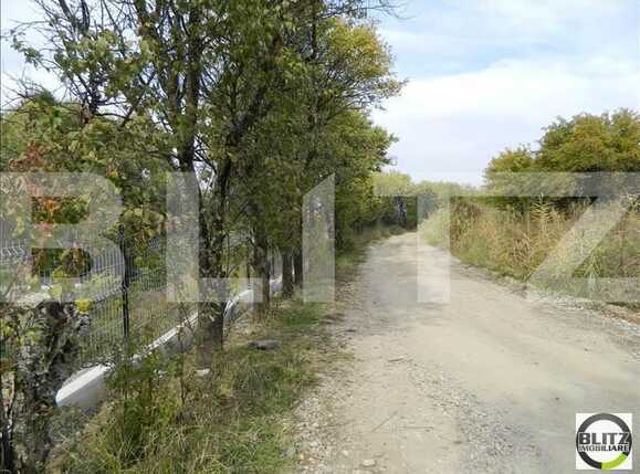 Teren de vânzare Făget - 22944TV | BLITZ Cluj-Napoca | Poza8