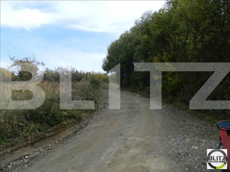 Teren de vânzare Făget - 22944TV | BLITZ Cluj-Napoca | Poza9