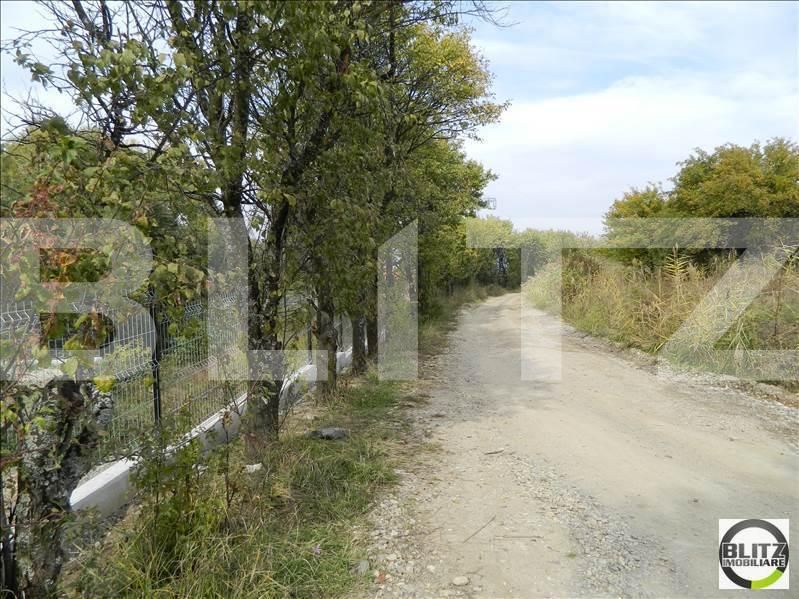 Teren de vânzare Făget - 22944TV | BLITZ Cluj-Napoca | Poza8