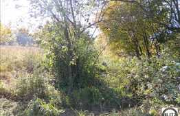 Teren cu autorizatie in zona Eugen Ionescu. Apa si curent pe teren!