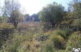 Teren cu autorizatie in zona Eugen Ionescu. Apa si curent pe teren!