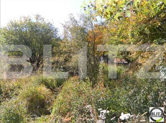 Teren de vânzare Făget - 22945TV | BLITZ Cluj-Napoca | Poza11