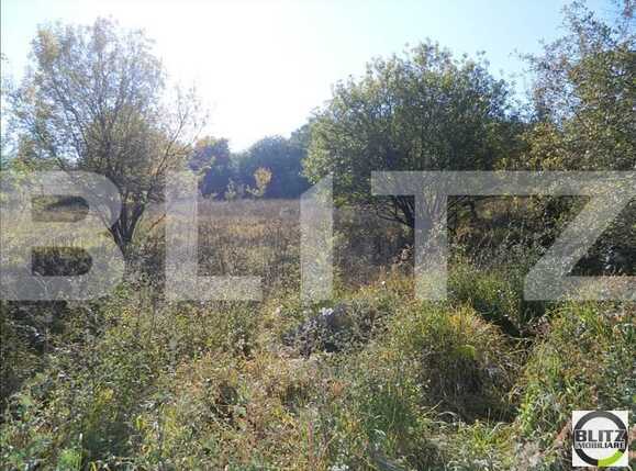 Teren de vânzare Făget - 22945TV | BLITZ Cluj-Napoca | Poza10