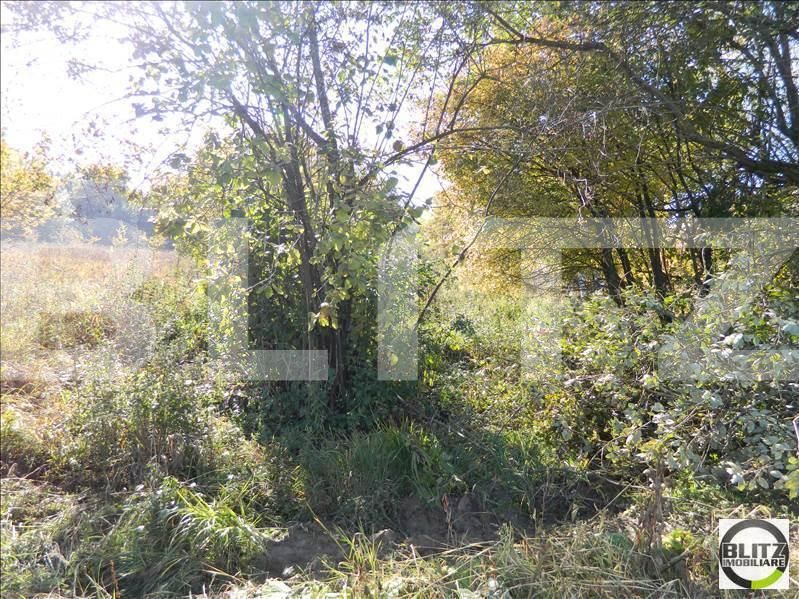 Teren de vânzare Făget - 22945TV | BLITZ Cluj-Napoca | Poza9