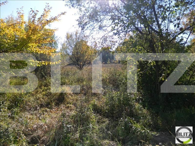 Teren de vânzare Făget - 22945TV | BLITZ Cluj-Napoca | Poza8