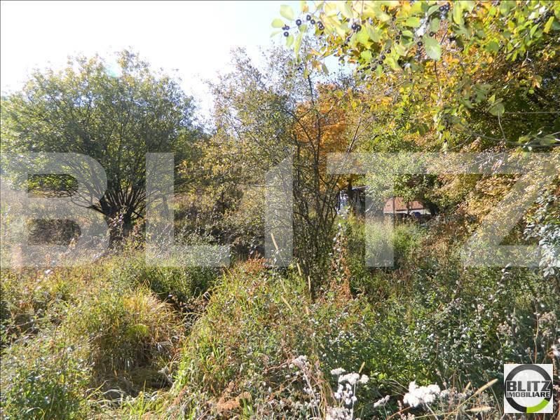 Teren de vânzare Făget - 22945TV | BLITZ Cluj-Napoca | Poza11