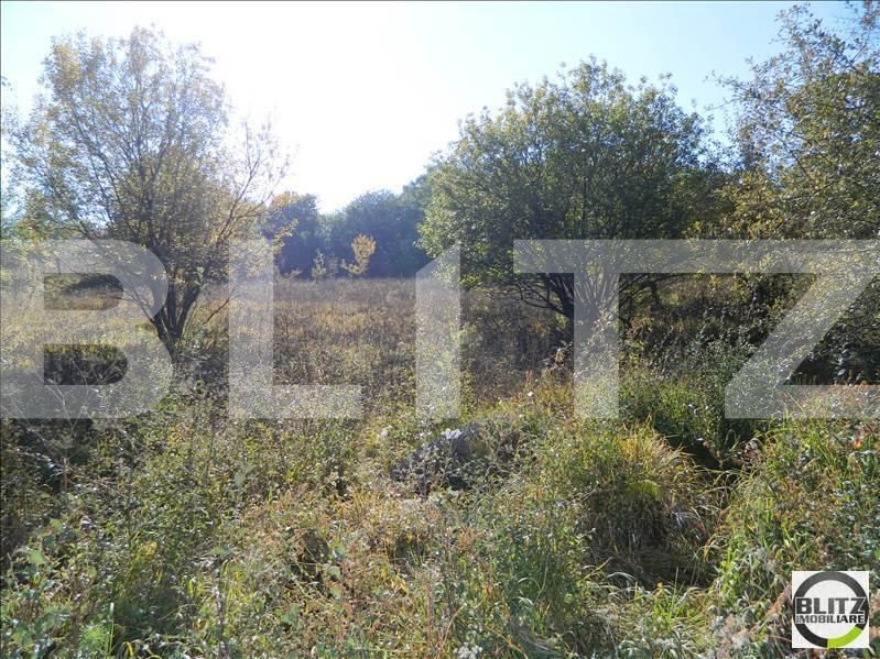 Teren de vânzare Făget - 22945TV | BLITZ Cluj-Napoca | Poza10