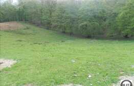 Teren cu suprafata de 500 mp de vanzare, front 20 ml, langa padure