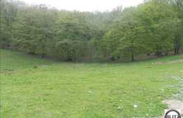 Teren cu suprafata de 500 mp de vanzare, front 20 ml, langa padure