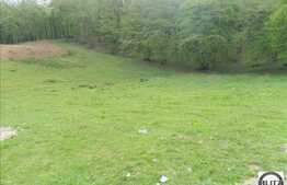 Teren cu suprafata de 500 mp de vanzare, front 20 ml, langa padure