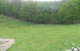 Teren cu suprafata de 500 mp de vanzare, front 20 ml, langa padure