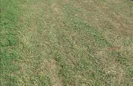 Teren cu autorizatie de constructie , 800 mp, front de 16 , zona usor accesibila