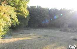 904 mp in zona Faget, liniste si aer curat garantat!