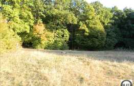 904 mp in zona Faget, liniste si aer curat garantat!