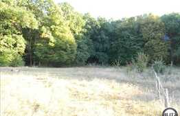 904 mp in zona Faget, liniste si aer curat garantat!