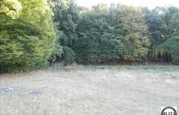 904 mp in zona Faget, liniste si aer curat garantat!