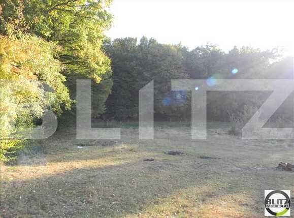 Teren de vânzare Făget - 22949TV | BLITZ Cluj-Napoca | Poza2