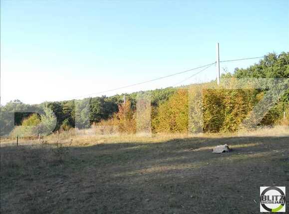 Teren de vânzare Făget - 22949TV | BLITZ Cluj-Napoca | Poza5