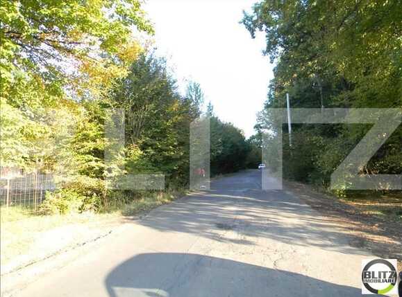 Teren de vânzare Făget - 22949TV | BLITZ Cluj-Napoca | Poza7