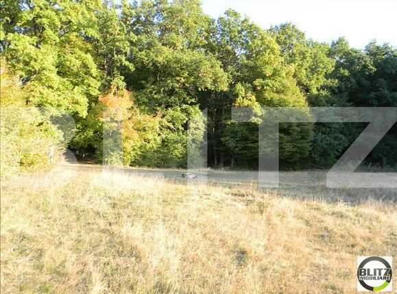 Teren de vânzare Făget - 22949TV | BLITZ Cluj-Napoca | Poza1