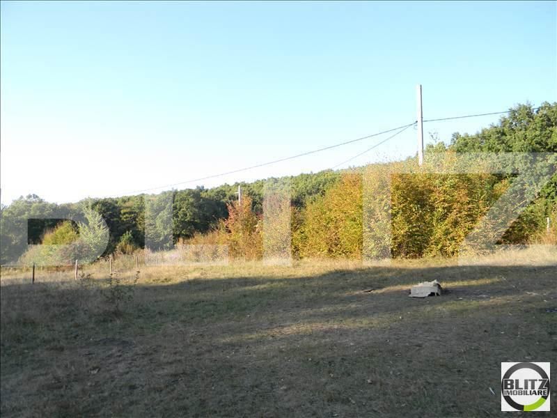 Teren de vânzare Făget - 22949TV | BLITZ Cluj-Napoca | Poza5
