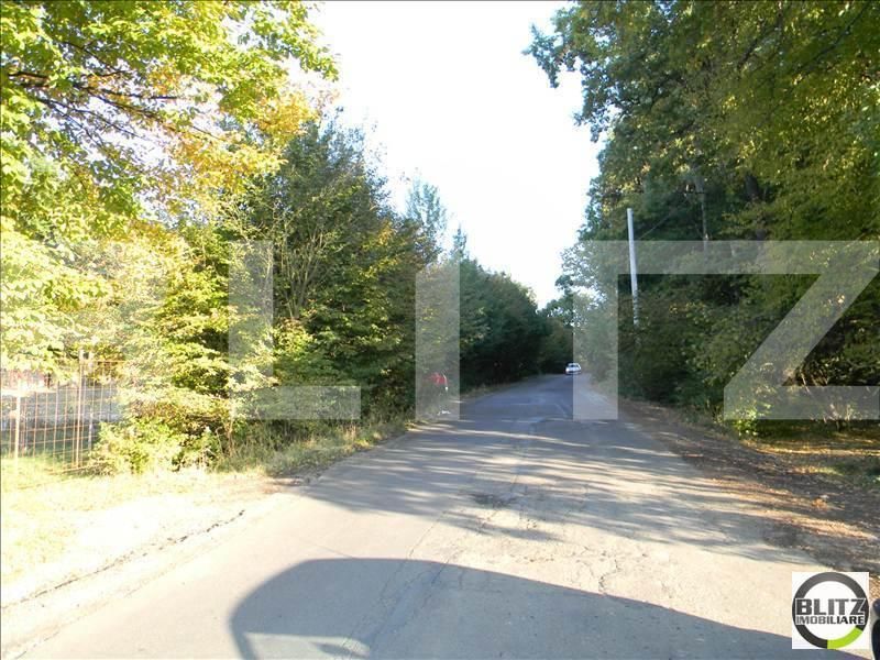 Teren de vânzare Făget - 22949TV | BLITZ Cluj-Napoca | Poza7