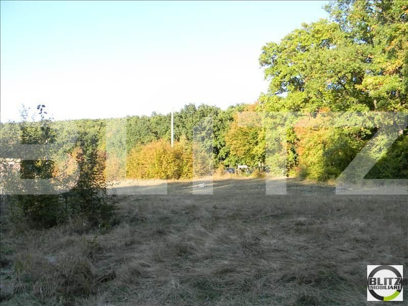 Teren de vânzare Făget - 22949TV | BLITZ Cluj-Napoca | Poza6